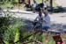 Kerwa_190629_068