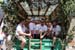 Kerwa_190629_086