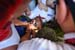 Kerwa_190629_131