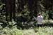 Kerwa_190629_148