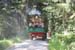 Kerwa_190629_149