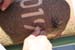 Kerwa_190629_164