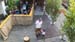 DJI_20240628192329_0060_D