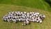 DJI_20240629122028_0007_D-1