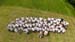 DJI_20240629122100_0010_D-1