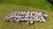 DJI_20240629122108_0011_D-1