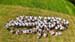 DJI_20240629122143_0013_D