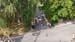DJI_20240629173016_0059_D